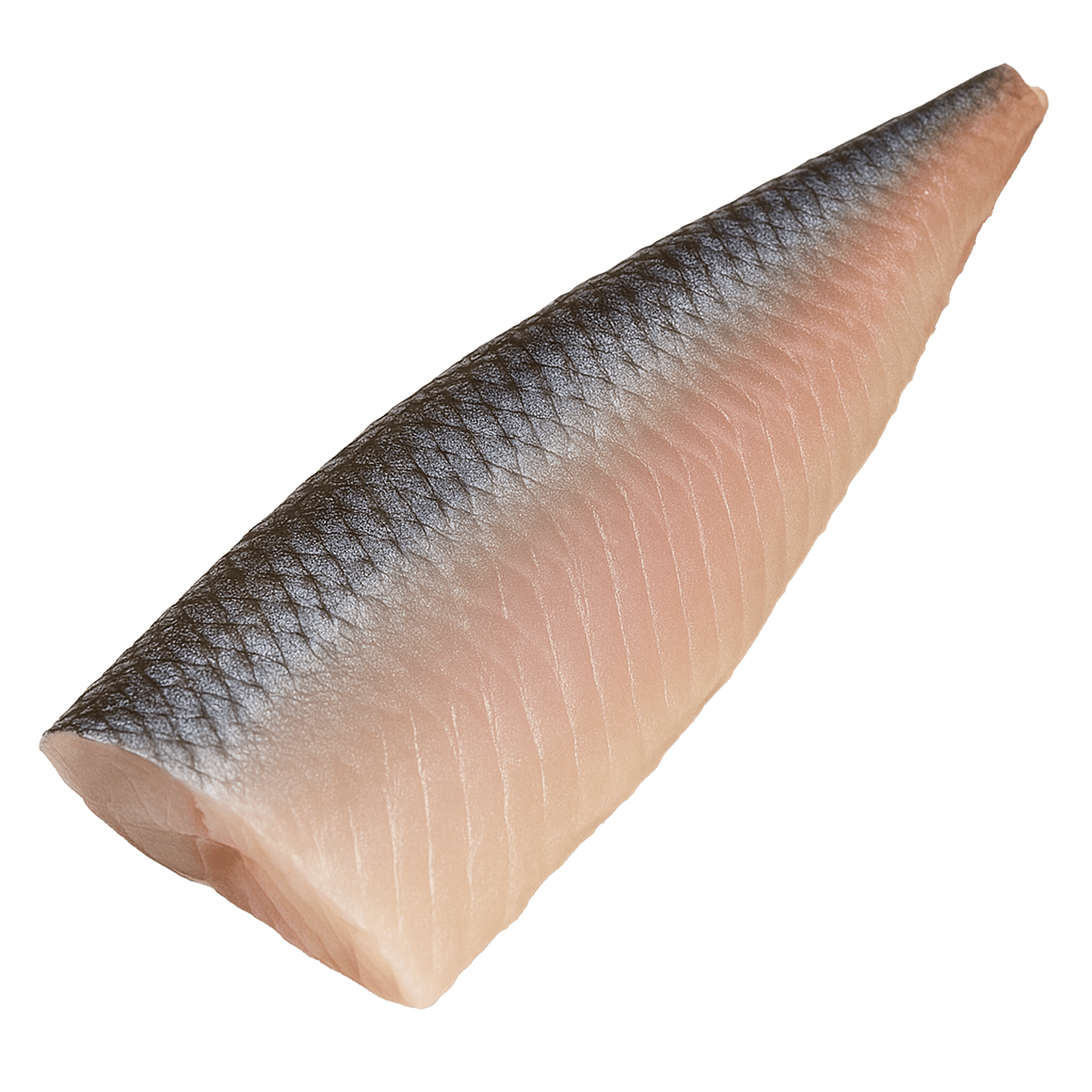Fisk