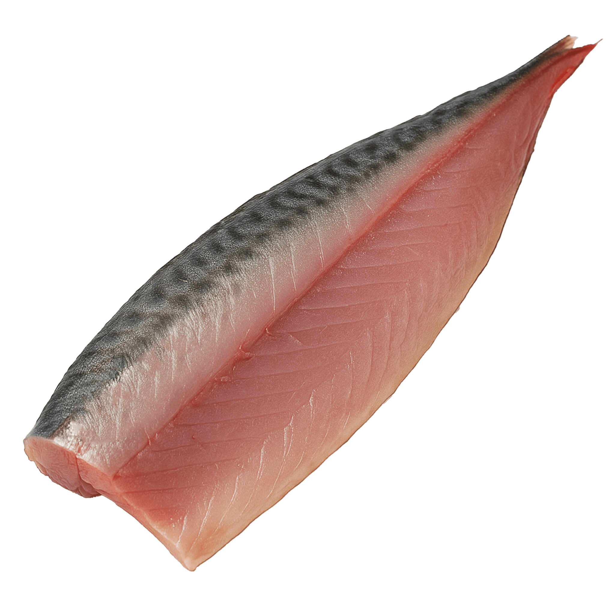 Mackerel