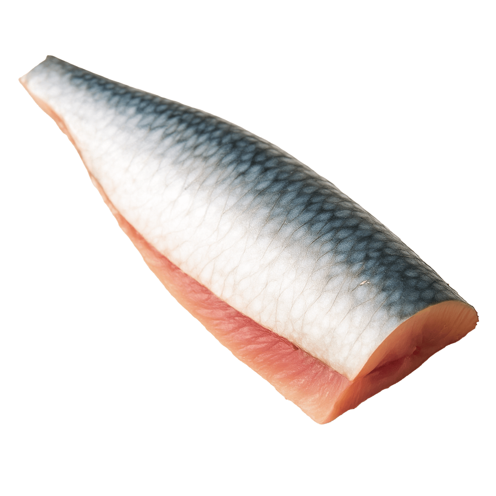 Sardine
