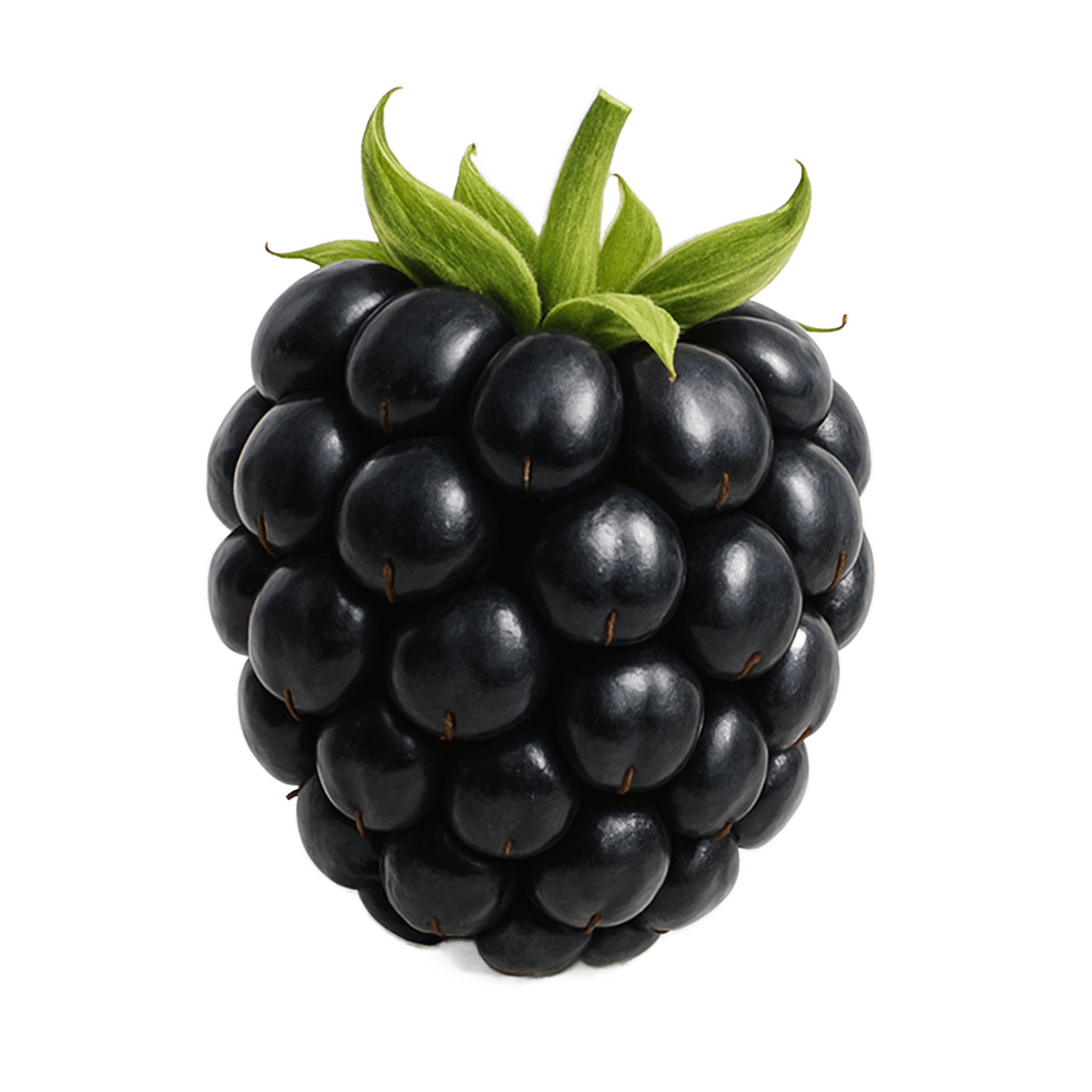 Blackberry