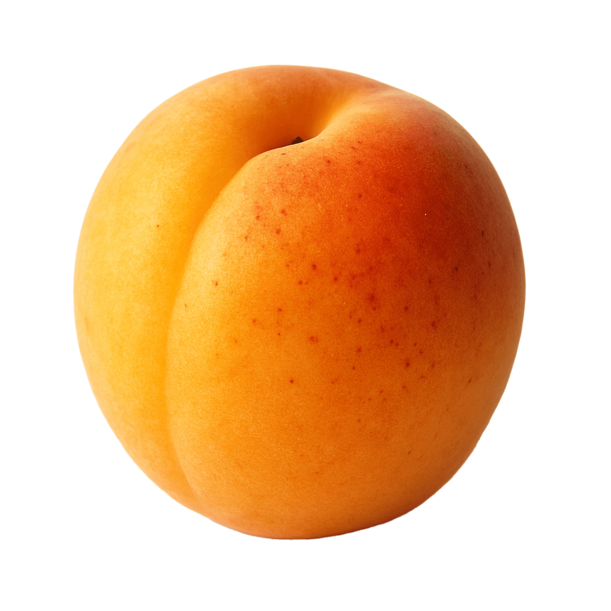 Apricot