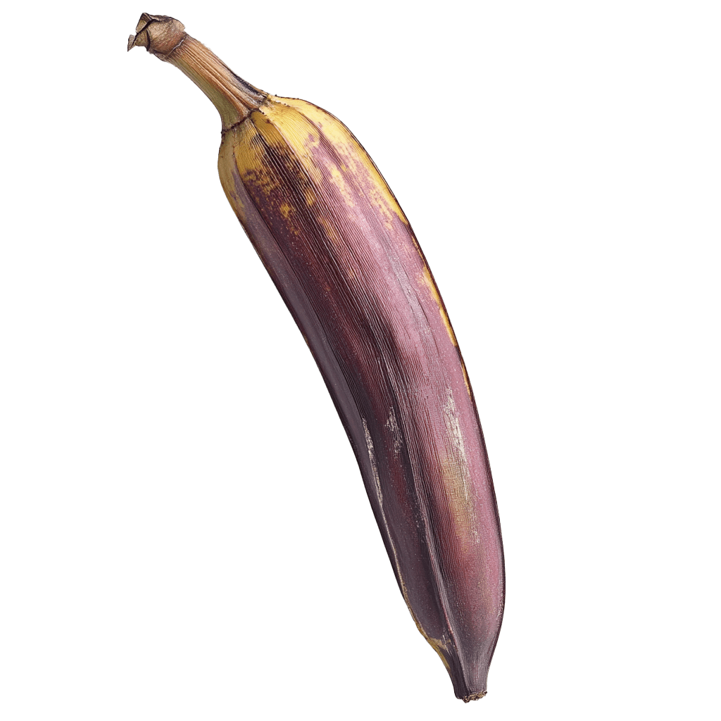 Plantain