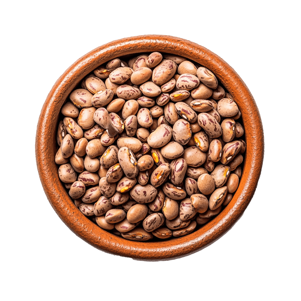 Dry bean