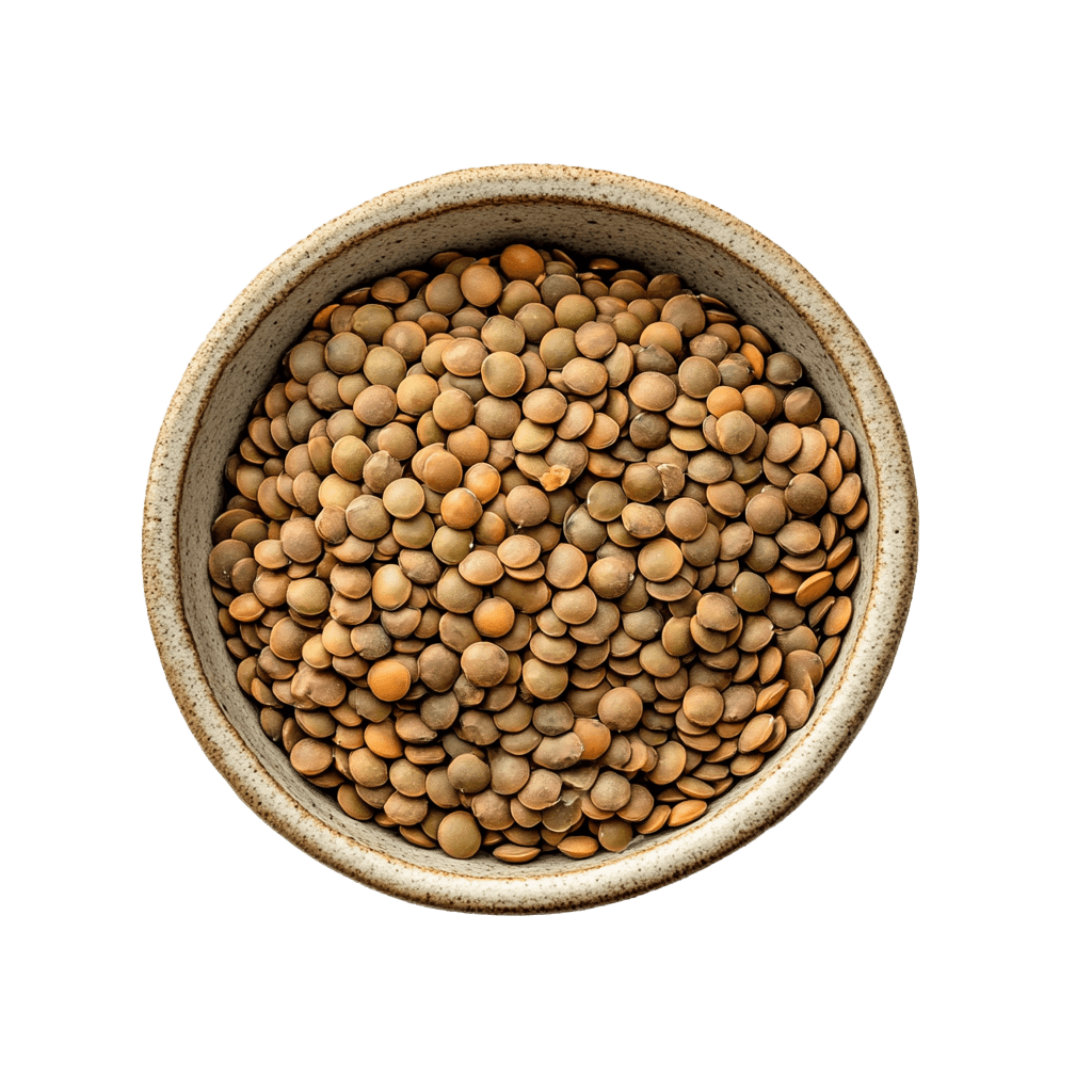 Dry lentil