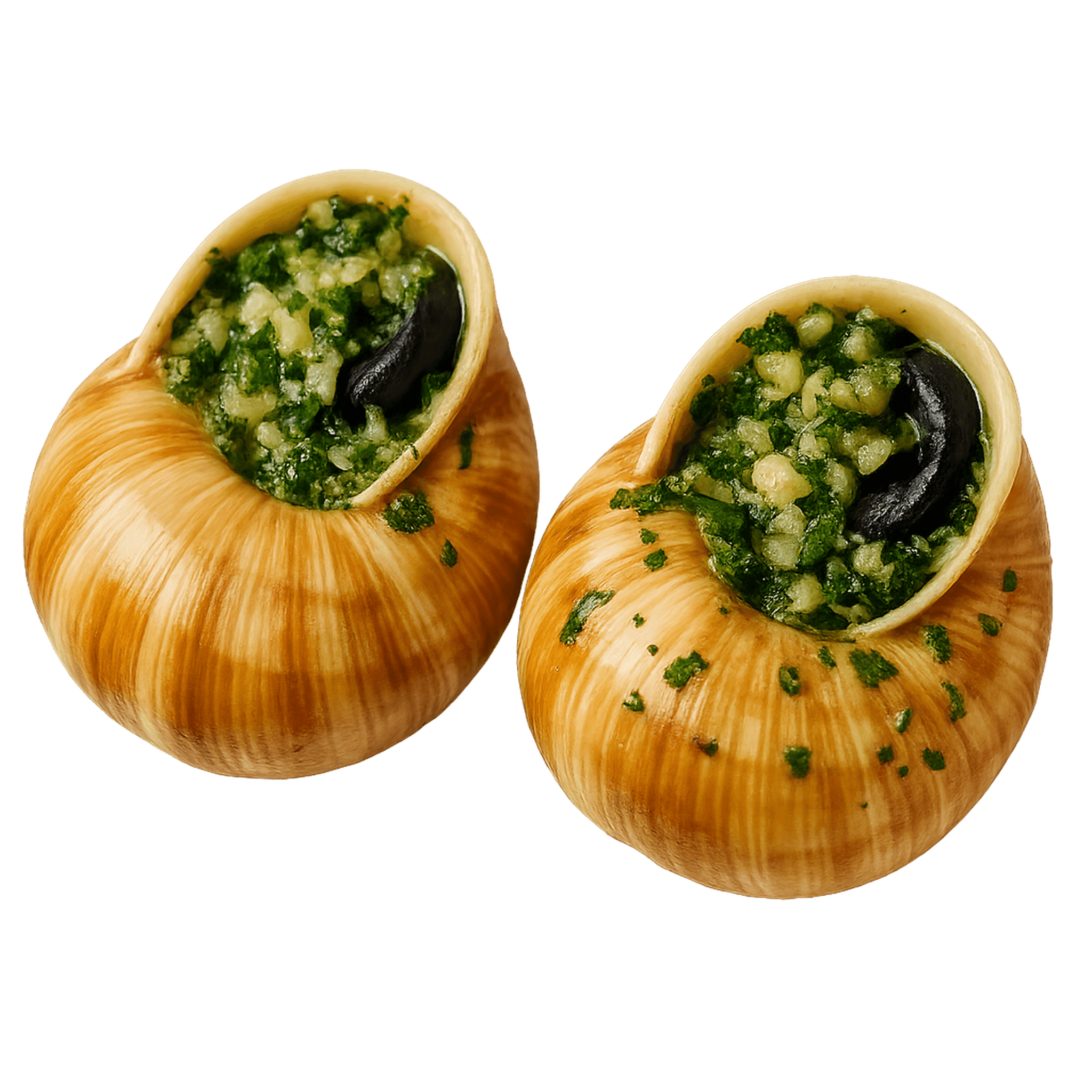 Snails