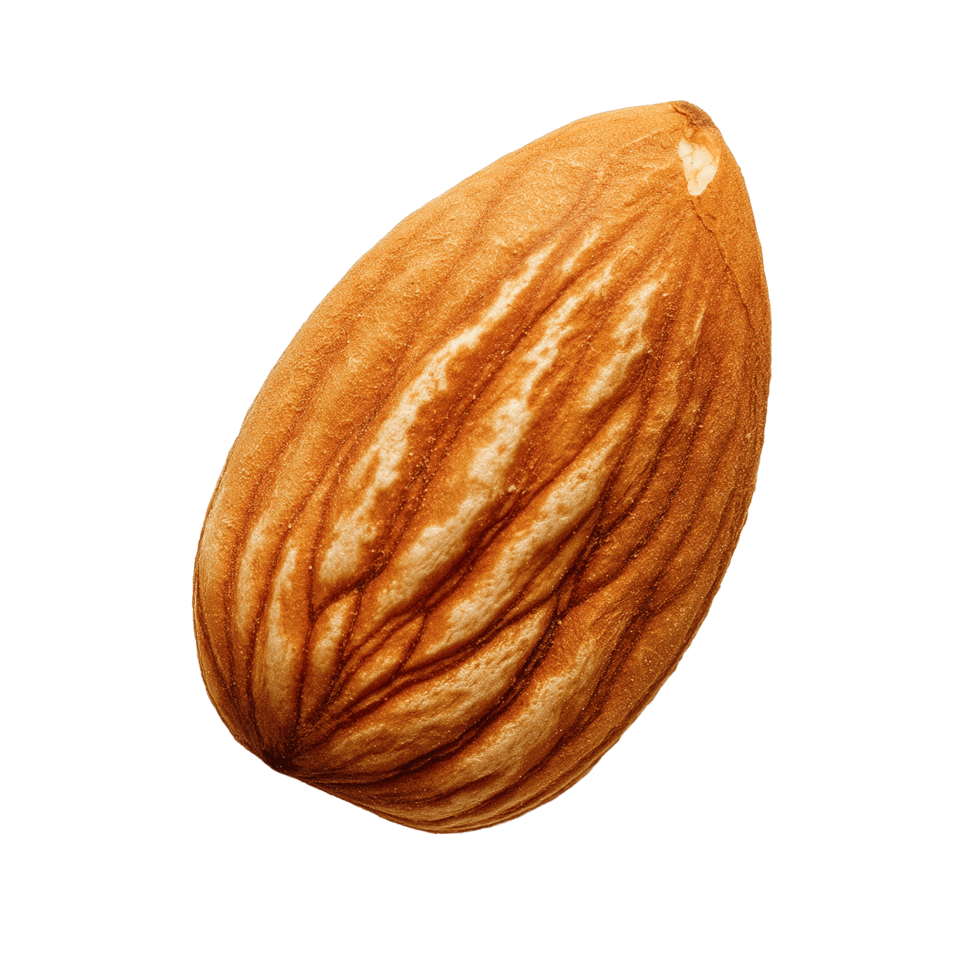 Almond
