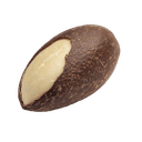 Brazil nut
