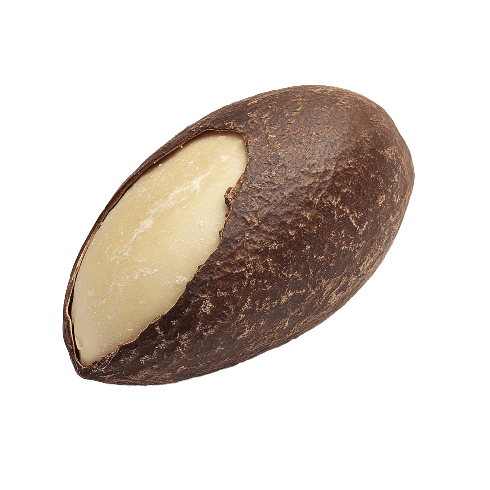 Brazil nut