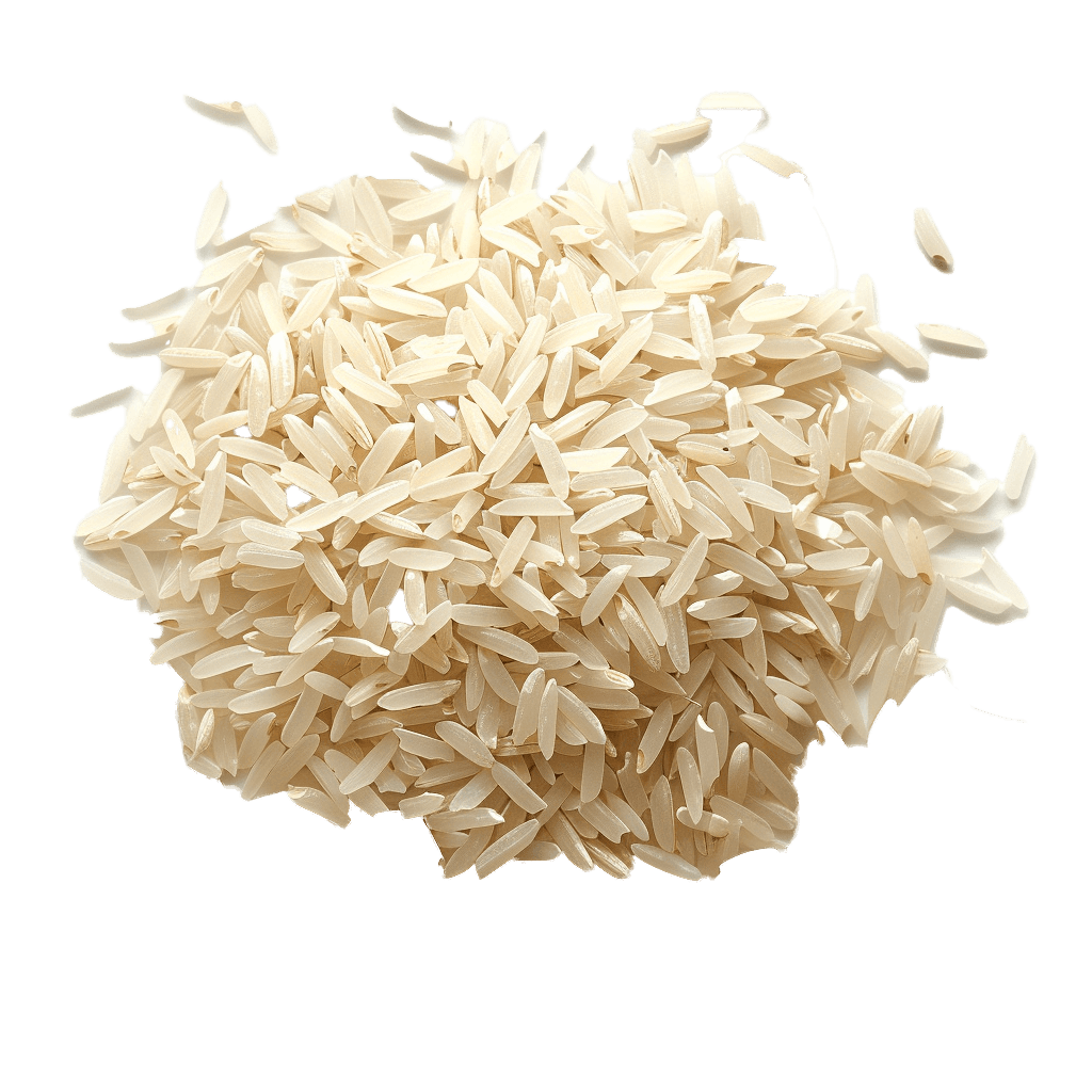 Rice