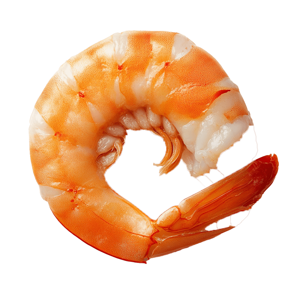 Skaldjur