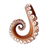 Polpo