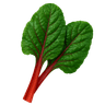 Swiss chard