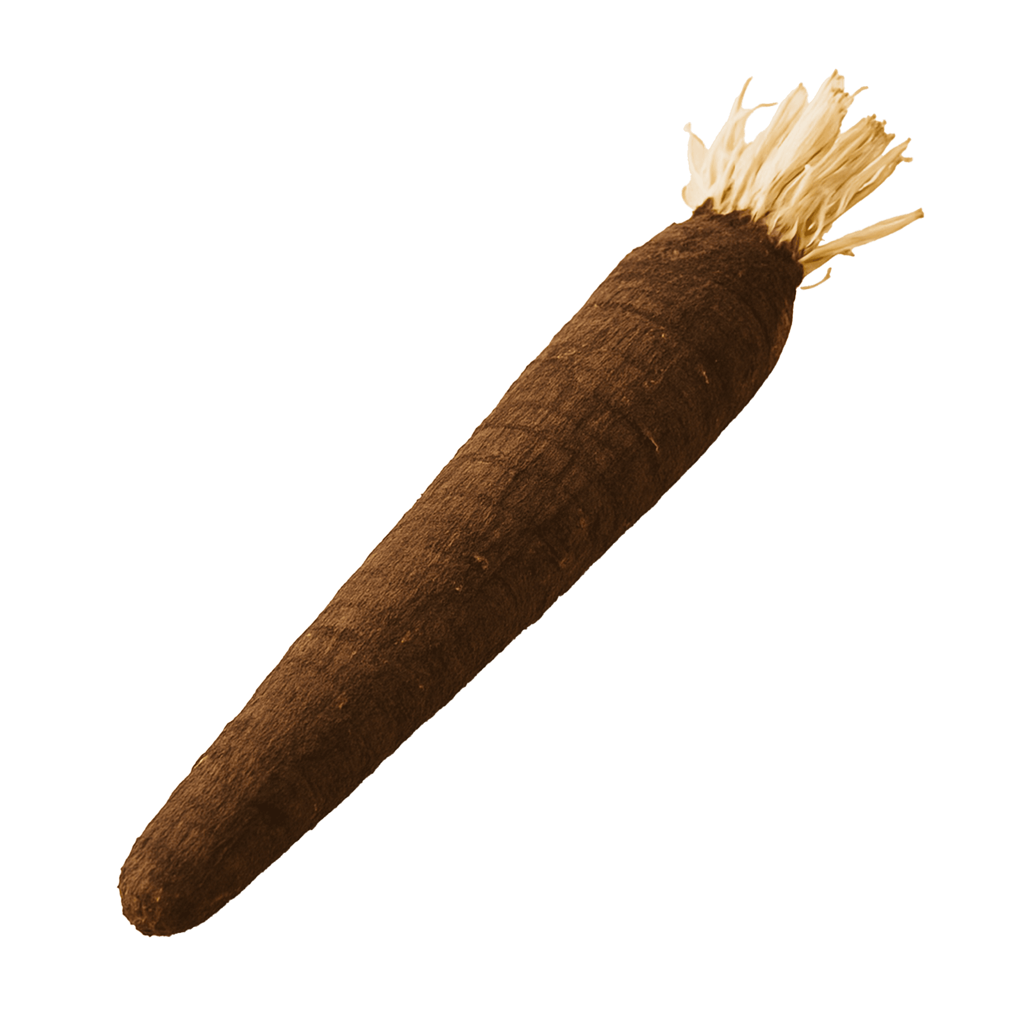 Salsify