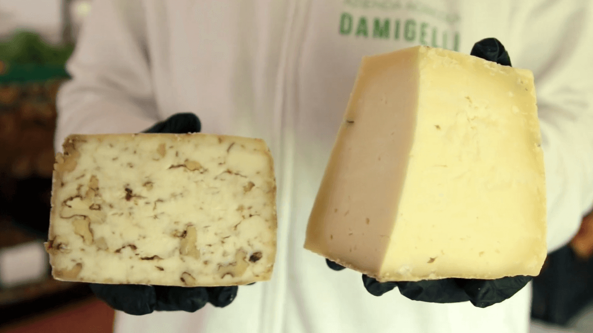 Azienda Agricola Damigelli